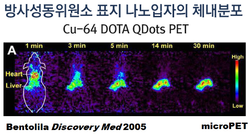 나노의학 관련 이미지